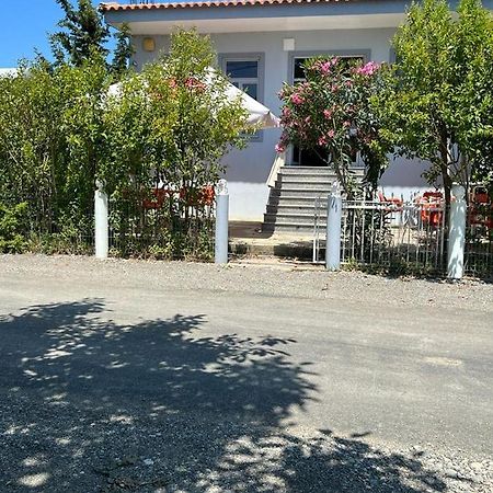 Guest House Andersoni Dhoma Plazhi Andersoni Shen Ded Gjoni 외부 사진